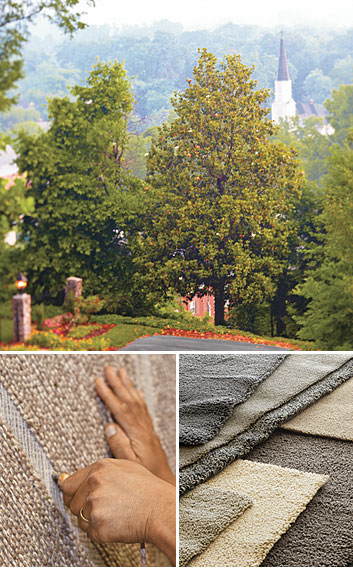 Collage of Delos products