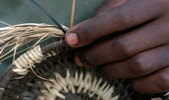 Toka Baskets