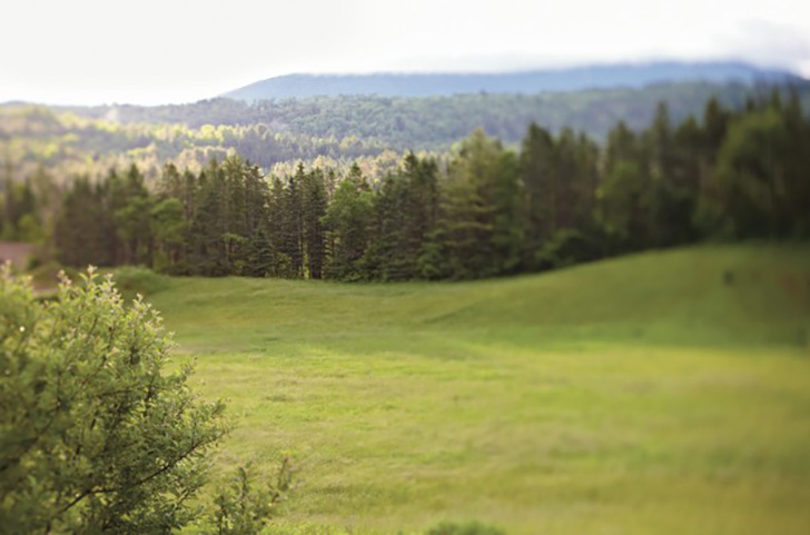 Newport countryside 