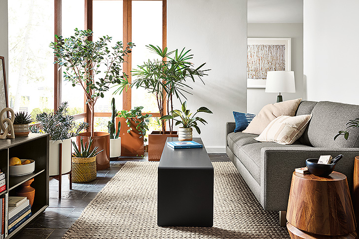 gray sofa in sunroom with houseplants