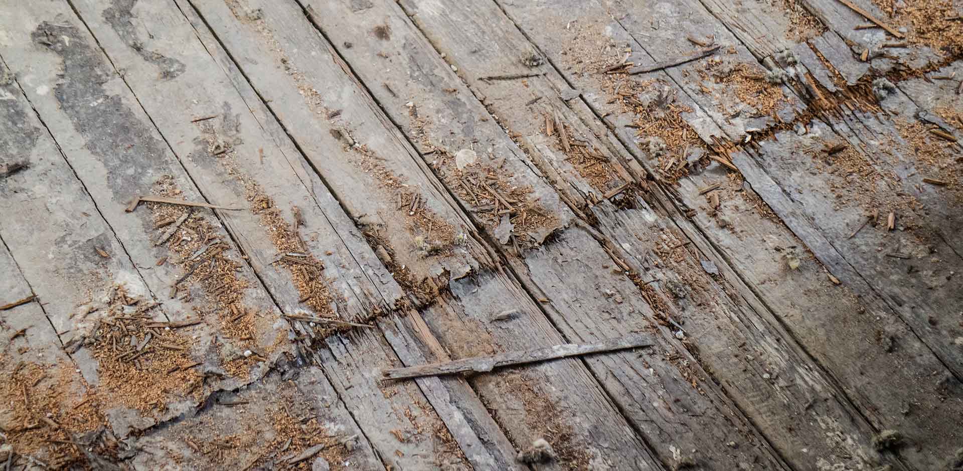 Deconstruction helps salvage tons of wood flooring and other materials