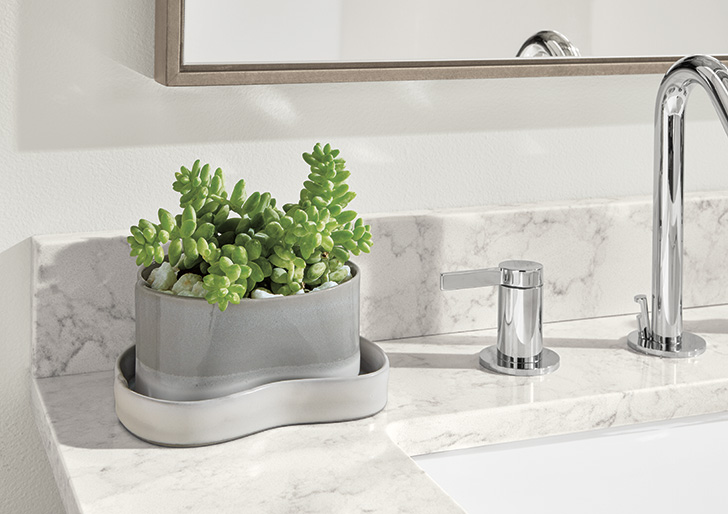 planter on bathroom vanity