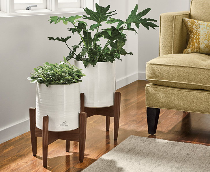 Modern Planters for Happy Houseplants Room & Board