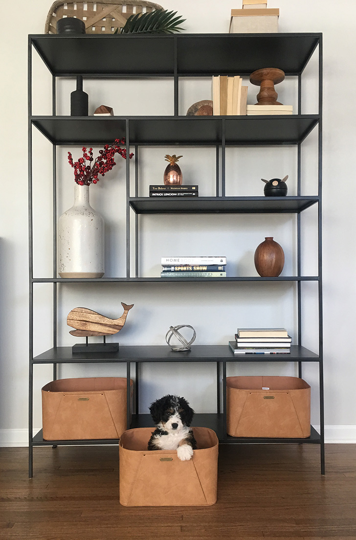 Foshay bookcase with puppy in basket