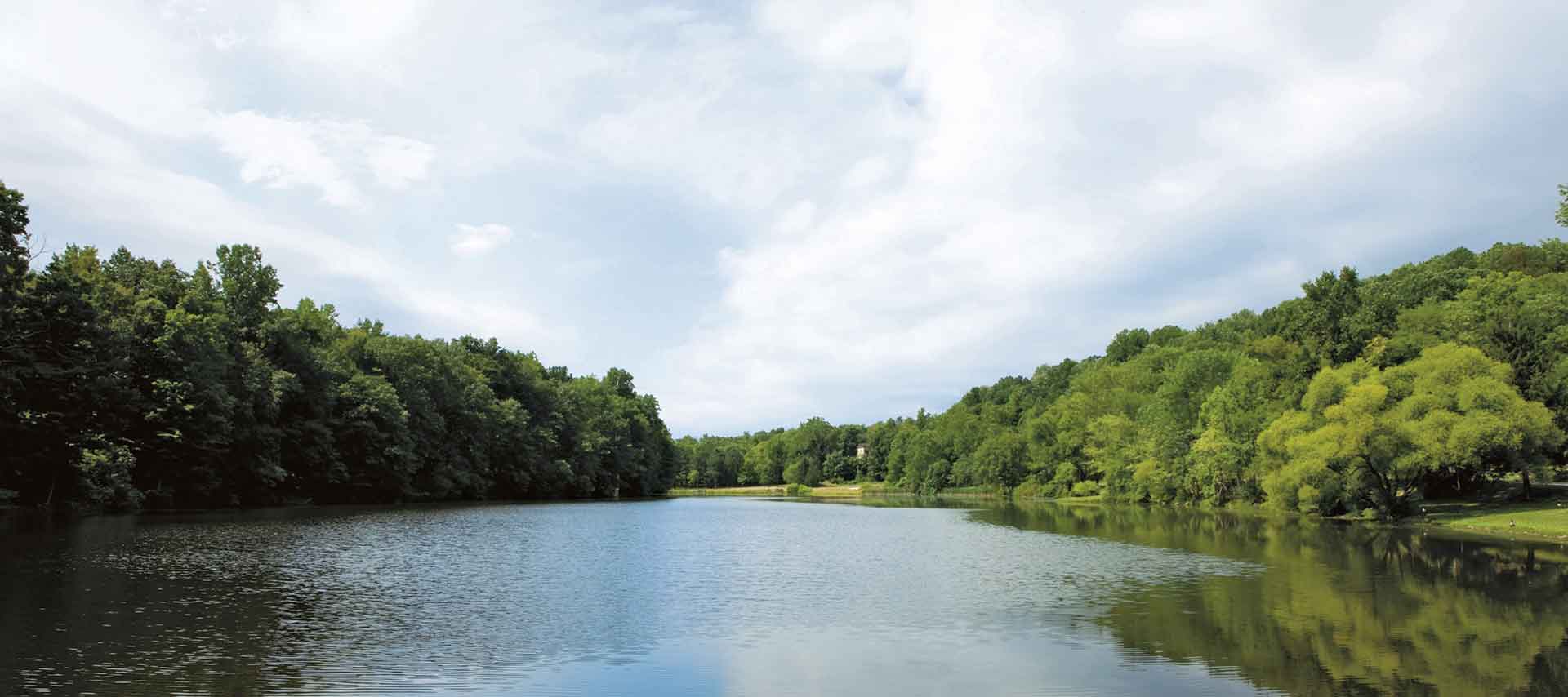 caperton_river_trees