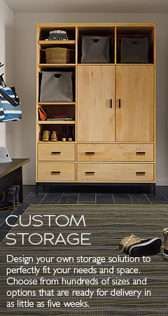 Modern Custom Cabinets Furniture Room Board Room Board Custom Storage Cabinets And Armoires